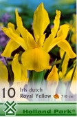 Bulbi de toamna iris hollandica Royal Yellow