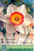 Bulbi de toamna narcisa Flower Record