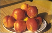 Pomi fructiferi nectarin Andosa