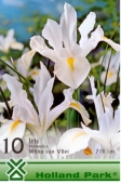 Bulbi iris hollandica White van Vliet