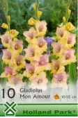 Bulbi de primavara gladiolus Mon Amour