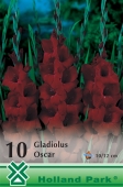 Bulbi de primavara gladiolus Oscar