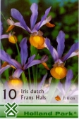 Bulbi de toamna iris hollandica Frans Hals